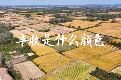 春種一粒粟，秋收萬顆子。多彩的豐收季，只愿五谷豐登，百事興旺3.240_400.jpg