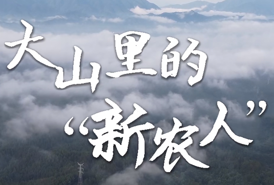 新農人 封面.jpg