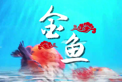 金魚歡躍，流光溢彩！_400.jpg